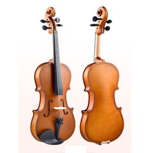 เครื่องดนตรี-สีสัน-ยอดนิยม-คาร์บอน